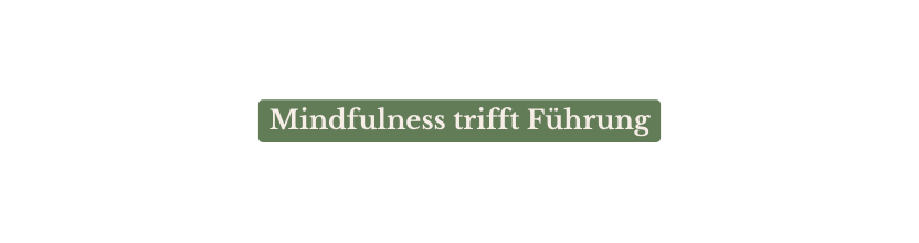 Mindfulness trifft Führung